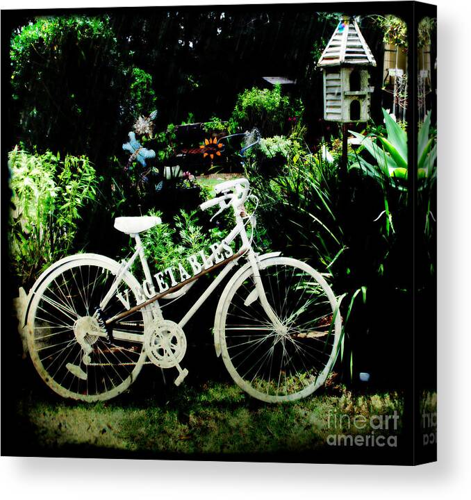 Bicycle Canvas Print featuring the photograph Bicycle and Bird House by Therese Alcorn