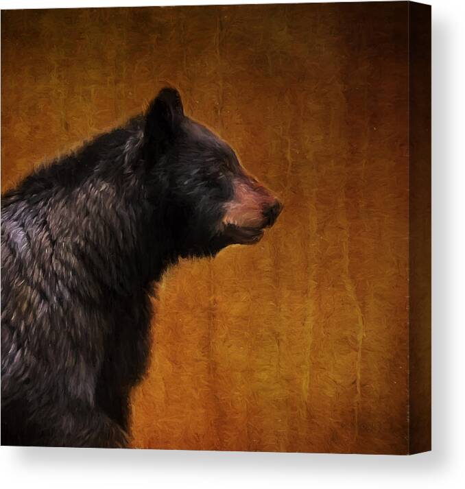 Black Bear Canvas Print featuring the photograph Black Bear Portrait Painterly by Clare VanderVeen