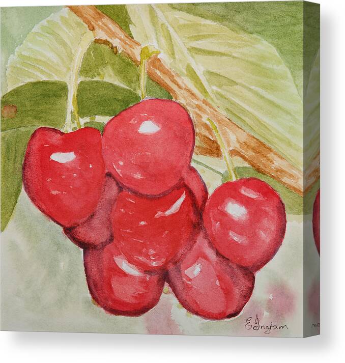 Fruit Canvas Print featuring the painting Bunch of Red Cherries by Elvira Ingram