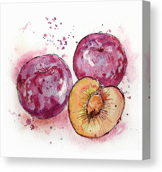 Art Canvas Print featuring the painting Close Up Of Three Plums by Ikon Ikon Images