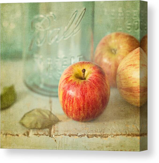 Apple Canvas Print featuring the photograph Country Comfort by Amy Weiss