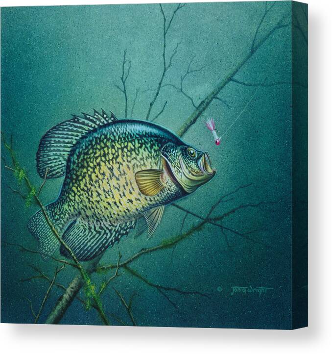 Jon Q Wright Canvas Print featuring the painting Crappie and Pink Jig by JQ Licensing