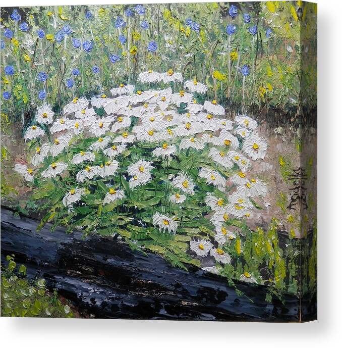 Daisies Canvas Print featuring the painting Daisies by Annamarie Sidella-Felts