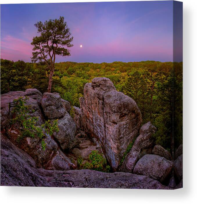 2012 Canvas Print featuring the photograph Dome Rock by Robert Charity