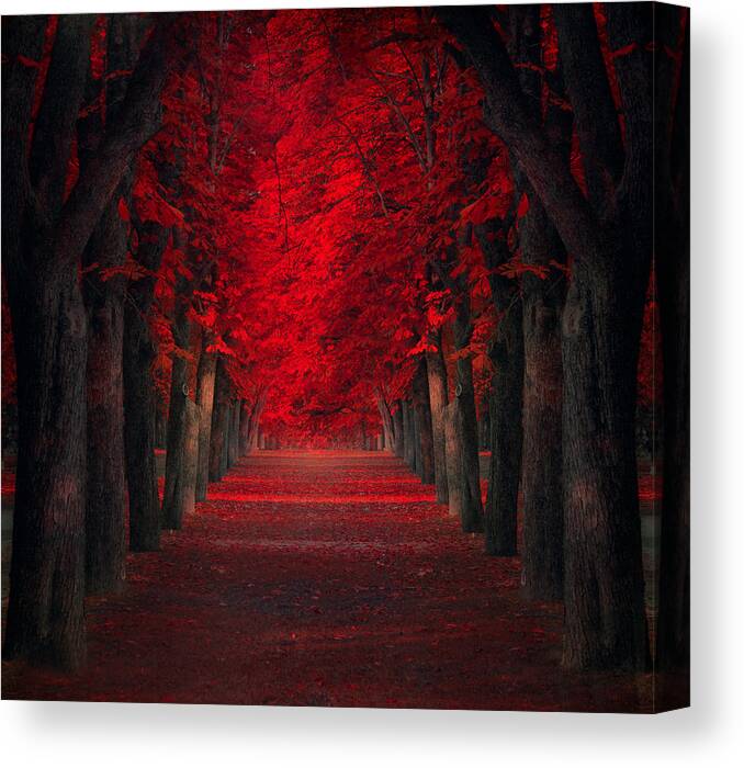 Creative Edit Canvas Print featuring the photograph Endless Passion by Ildiko Neer