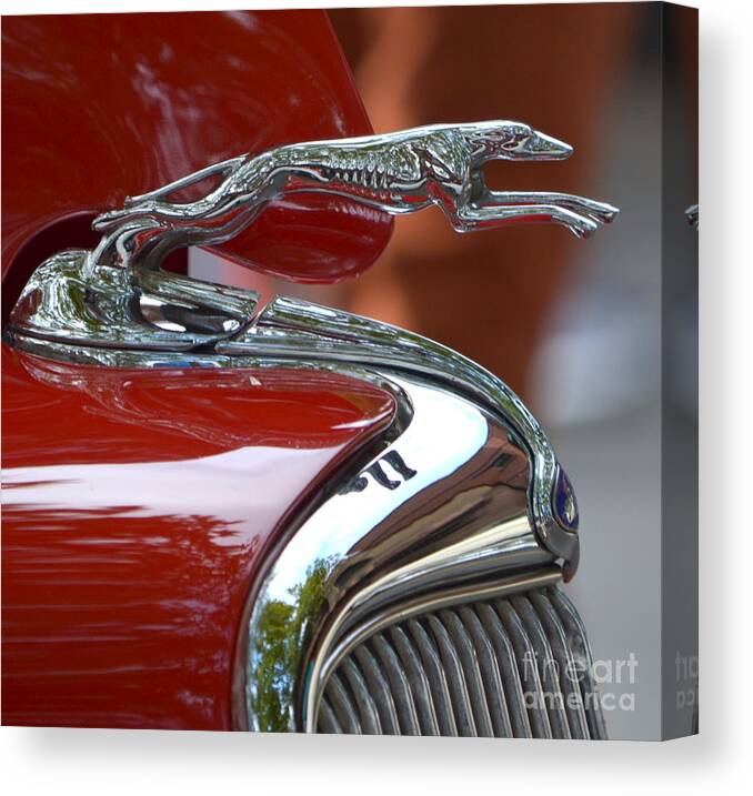  Canvas Print featuring the photograph Ford Hood Ornament by Dean Ferreira