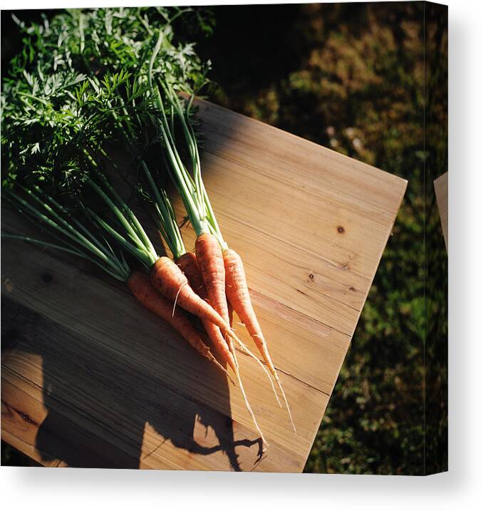 Five Objects Canvas Print featuring the photograph Garden Carrots On Sunny Stool by Danielle D. Hughson