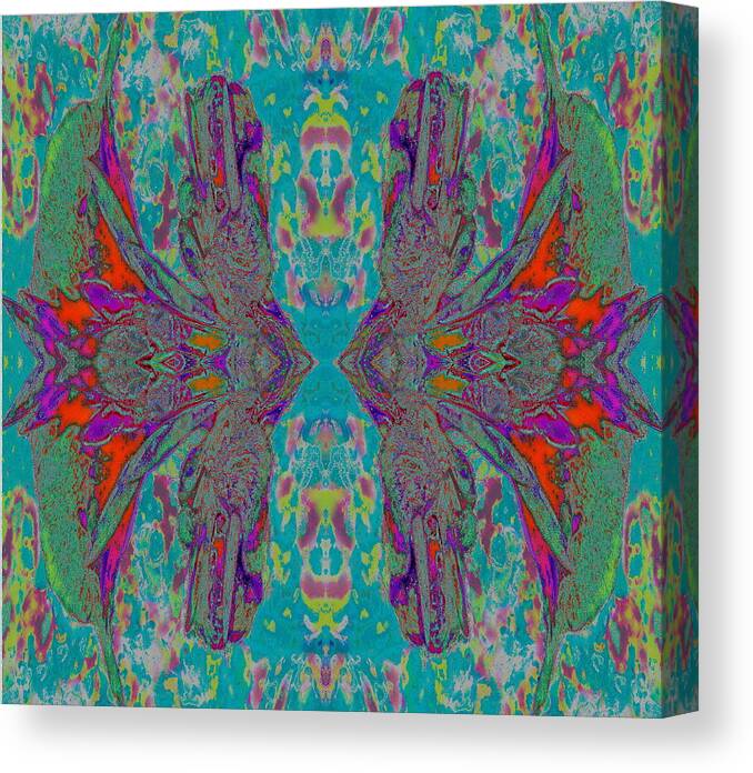 Paisley Style Graphic Print Made Using A Canvas Print featuring the digital art Glad Mirror One by Priscilla Batzell Expressionist Art Studio Gallery