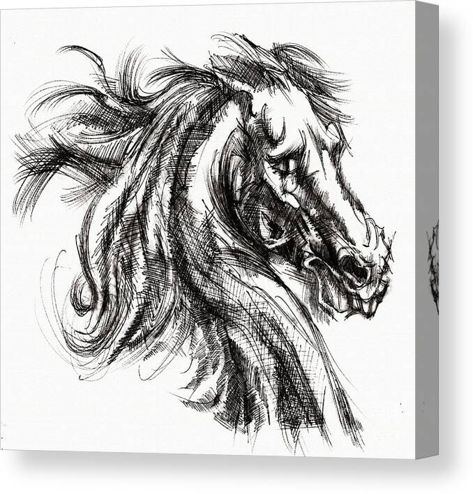 Inventing A Horse Canvas Print featuring the drawing Horse face ink sketch drawing - Inventing a Horse by Daliana Pacuraru