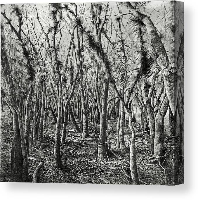 Landscape Canvas Print featuring the drawing If Not for These Trees I Could See the Forest by William Underwood