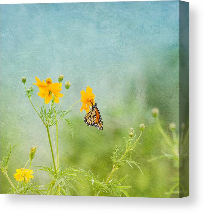 Nature Canvas Print featuring the photograph In The Garden - Monarch Butterfly by Kim Hojnacki