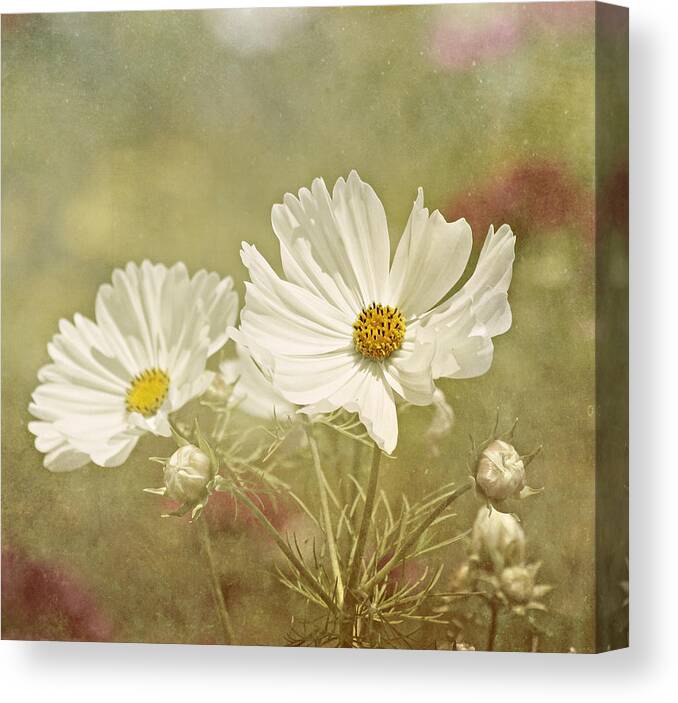 Nature Photographs Canvas Print featuring the photograph In the Land of Fantasy by Kim Hojnacki