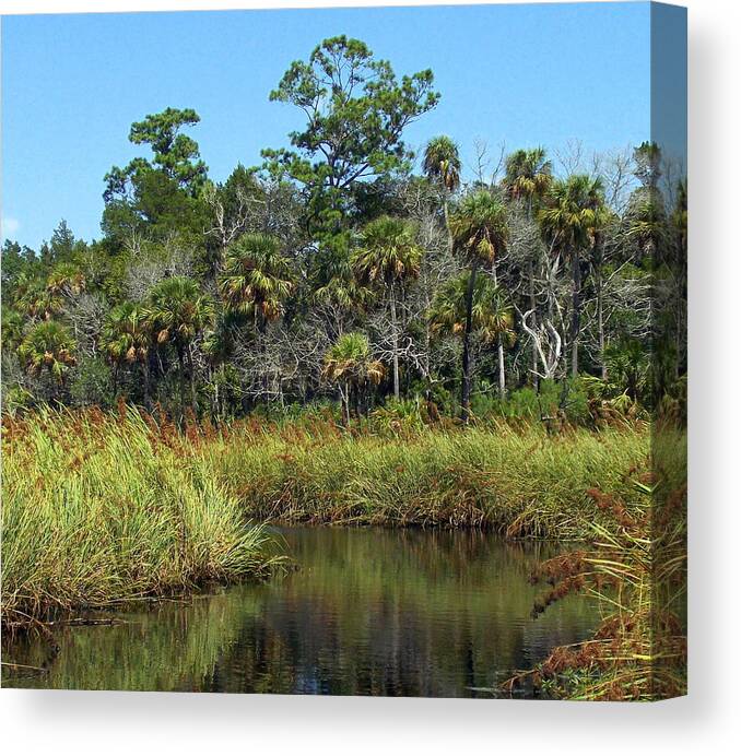Marsh Canvas Print featuring the photograph Lower Suwannee Refuge 2A by Sheri McLeroy