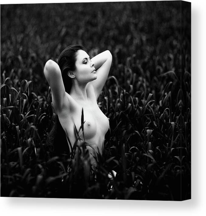 Fine Art Nude Canvas Print featuring the photograph Maris by Zachar Rise