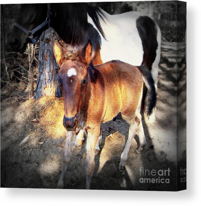 Horses Canvas Print featuring the painting Mom and Me by Vivian Cook