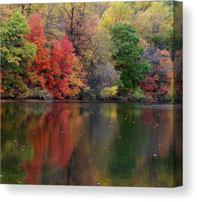 Fall Canvas Print featuring the photograph Painted Water by Richard Bryce and Family