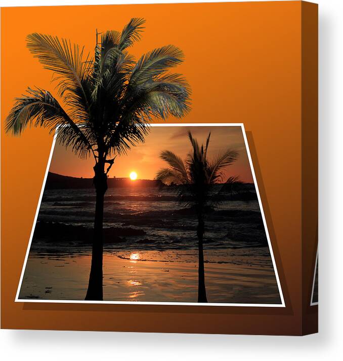 Palm Tree Canvas Print featuring the photograph Palm Trees at Sunset by Shane Bechler