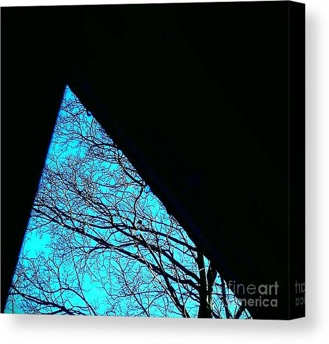 Shapes Canvas Print featuring the photograph Blue Triangle by Jacqueline McReynolds