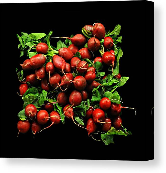 Vegetable Canvas Print featuring the photograph Radishes by Diana Angstadt