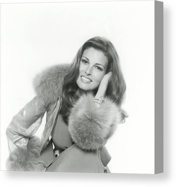 Fashion Canvas Print featuring the photograph Raquel Welch Wearing A Chiffon By Valentino by Henry Clarke