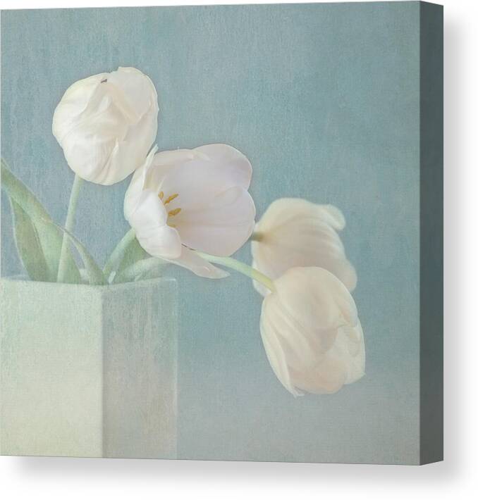 White Flower Canvas Print featuring the photograph Ray of Beauty by Kim Hojnacki