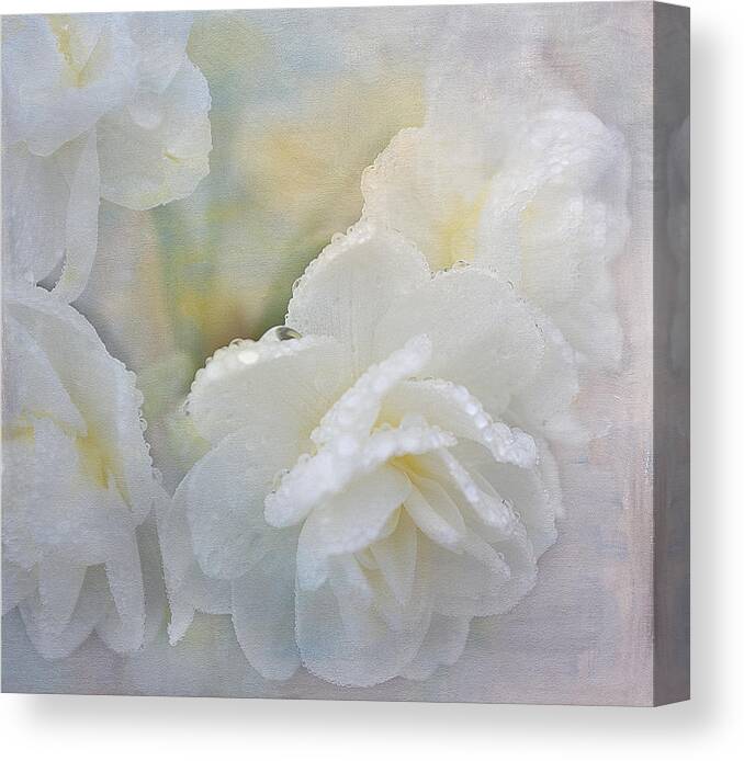 White Canvas Print featuring the digital art Romance in White by Michelle Ayn Potter