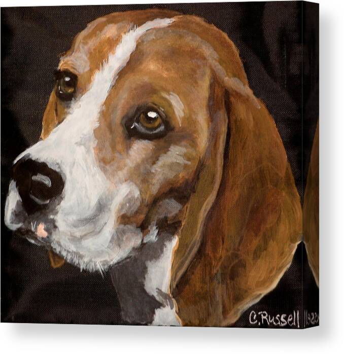 Beagle Portrait Canvas Print featuring the painting Ronny by Carol Russell