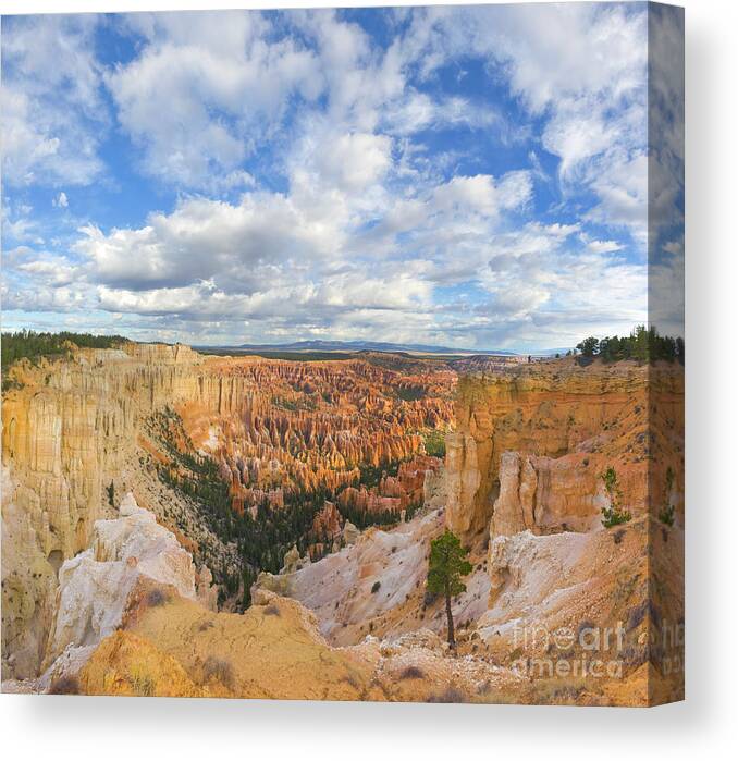 00431169 Canvas Print featuring the photograph Bryce Canyon Hoodoos by Yva Momatiuk John Eastcott