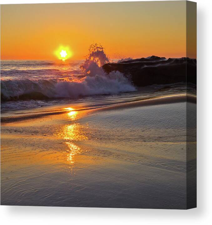 Landscape Canvas Print featuring the photograph Seahorses by Ryan Weddle