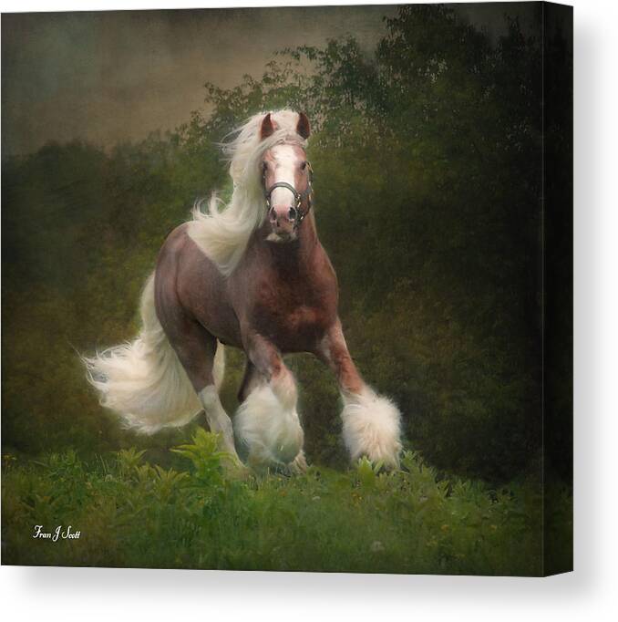 Horses Canvas Print featuring the photograph Simon and the storm by Fran J Scott