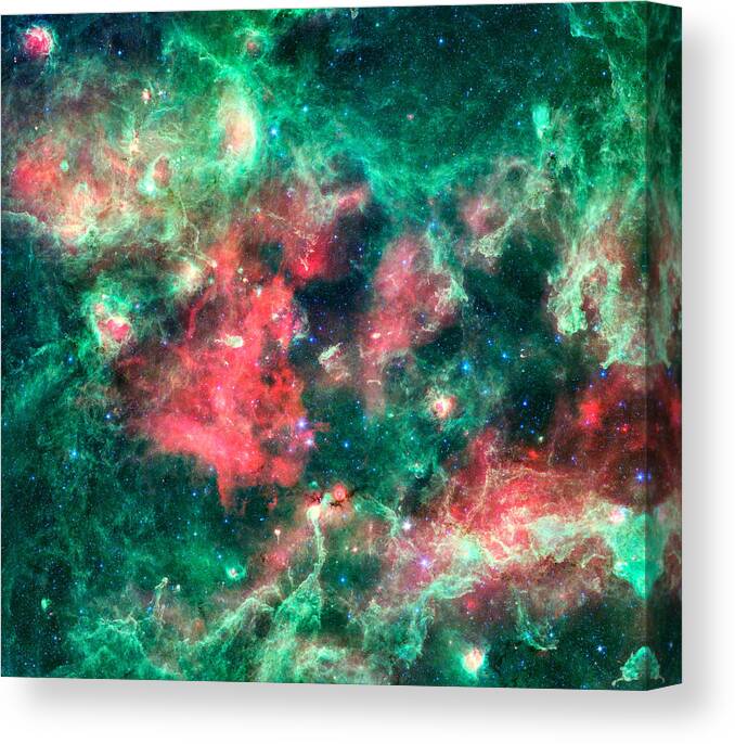 Star Birth Canvas Print featuring the photograph Star Birth - The Swan by Georgia Clare