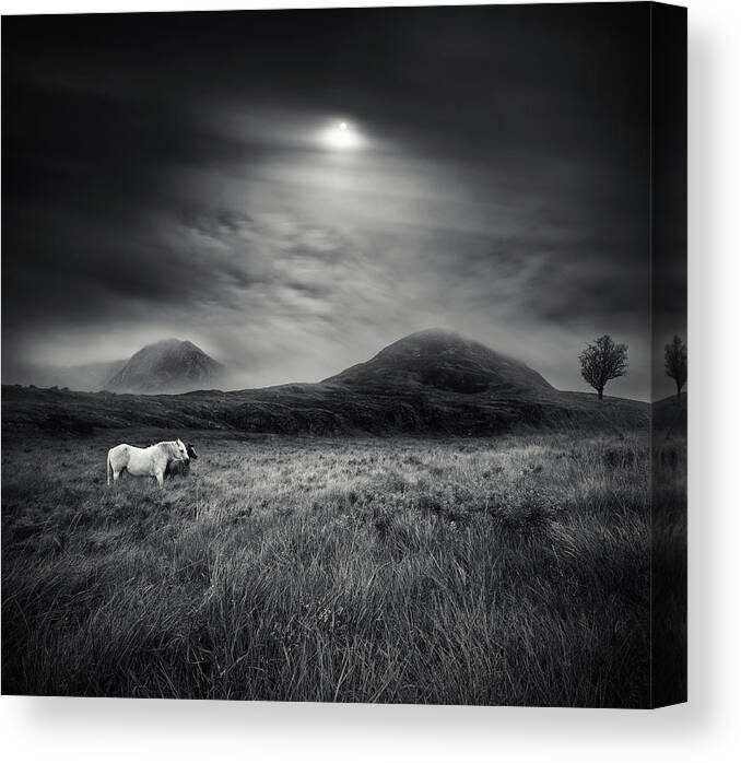 Surreal Canvas Print featuring the photograph Strange Place To Be by Martin Marcisovsky