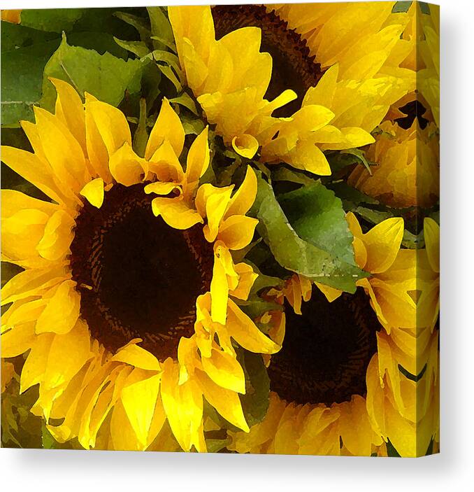 Sunflowers Canvas Print featuring the painting Sunflowers by Amy Vangsgard