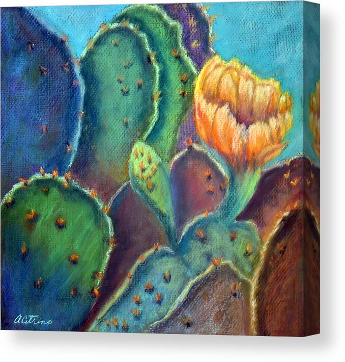 Cactus Flower Canvas Print featuring the pastel Texas Beauty Pastel by Antonia Citrino