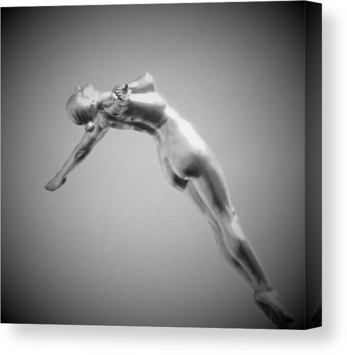 Swimming Canvas Print featuring the photograph The Free Dive by Gary Smith