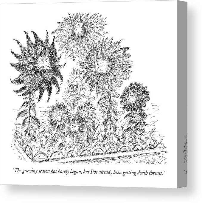 Growing Season Canvas Print featuring the drawing The Growing Season Has Barely Begun by Edward Koren
