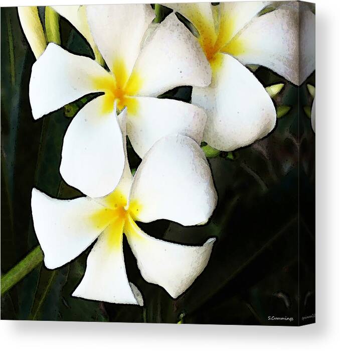 Plumeria Canvas Print featuring the painting Tropical Life - Flower Painting by Sharon Cummings