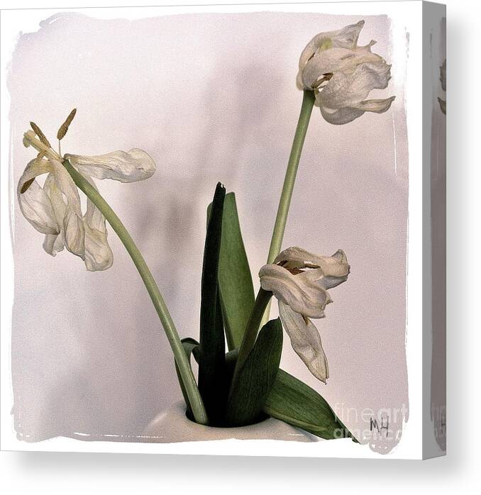 Photo Canvas Print featuring the photograph Tulips Abstract by Marsha Heiken