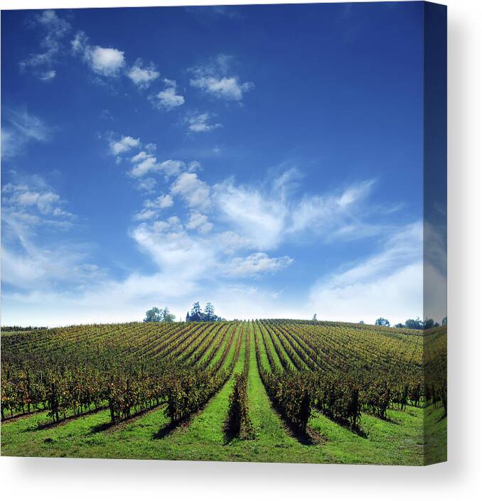 Scenics Canvas Print featuring the photograph Vineyard Farm With Clouds Background - by Phototalk