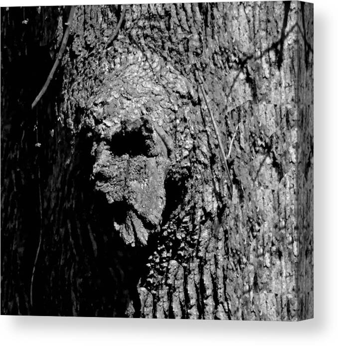 Halloween Canvas Print featuring the photograph Zombie Tree Troll by Deena Stoddard