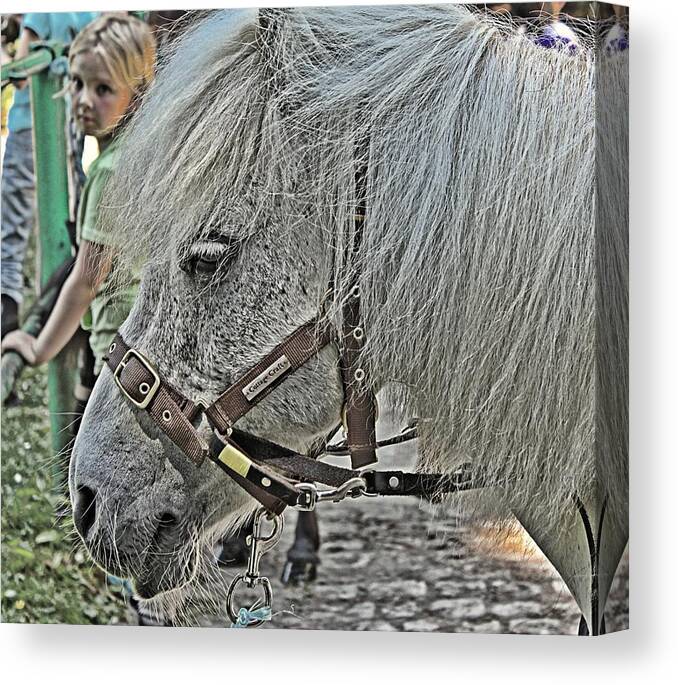 Pony Canvas Print featuring the photograph My Little Pony dream by Lauren Serene