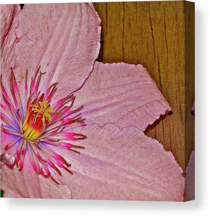 Flower Canvas Print featuring the photograph Petals and Plank by Randy Rosenberger