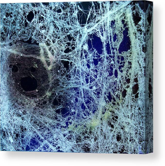 Spider And Web Costume Canvas Print featuring the painting 1915 by Andranik Avetisyan