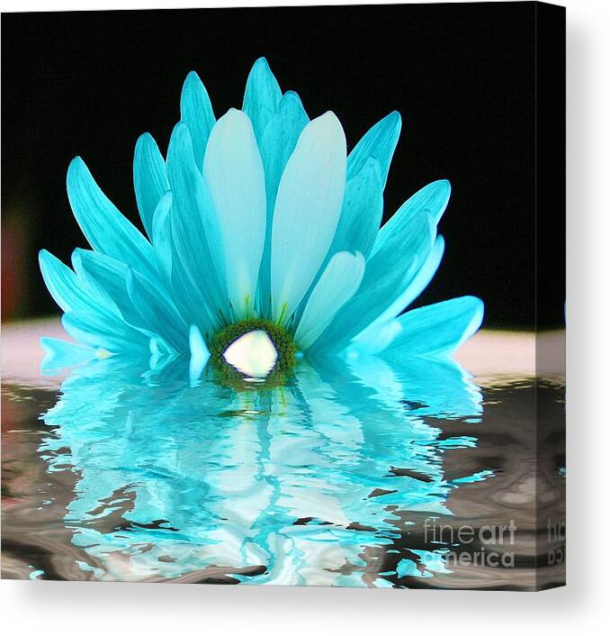 Flower Canvas Print featuring the photograph A Float by Julie Lueders 