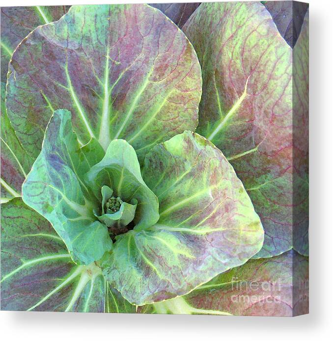 Flower Canvas Print featuring the photograph A Floral III by Gary Everson