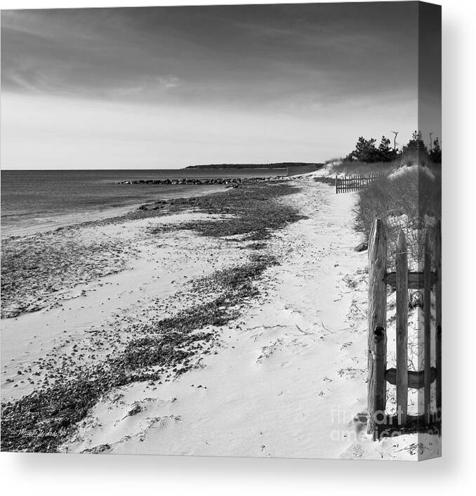 Alone Canvas Print featuring the photograph Alone by Michelle Constantine