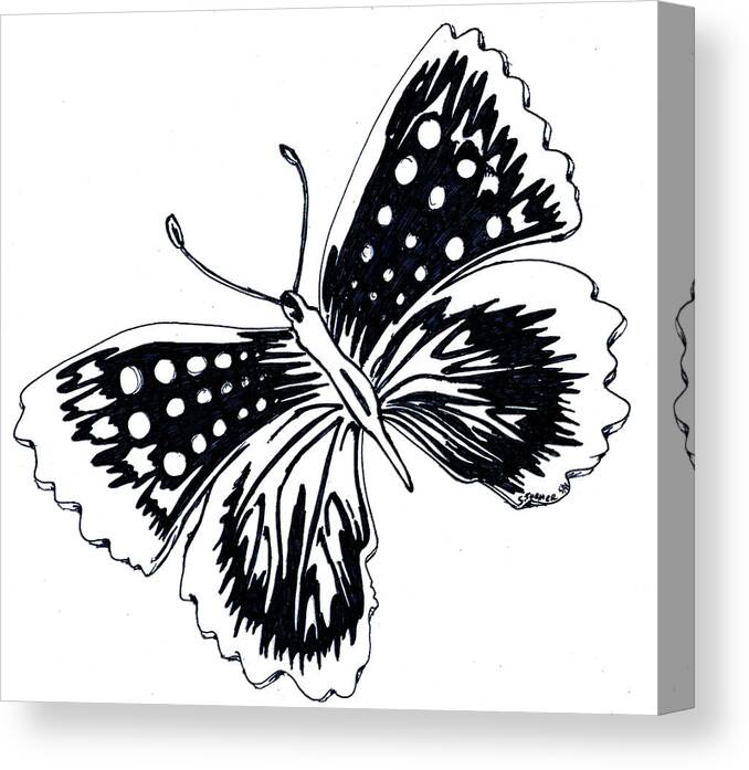Black And White Canvas Print featuring the drawing Butterfly by Susan Turner Soulis