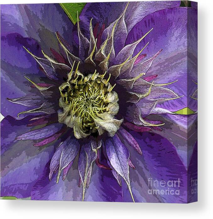 Clematis Canvas Print featuring the photograph Crystal Fountain by Jeanette French