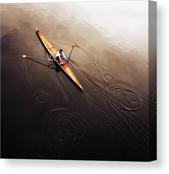 Action Canvas Print featuring the photograph Dragonfly by Fulvio Pellegrini