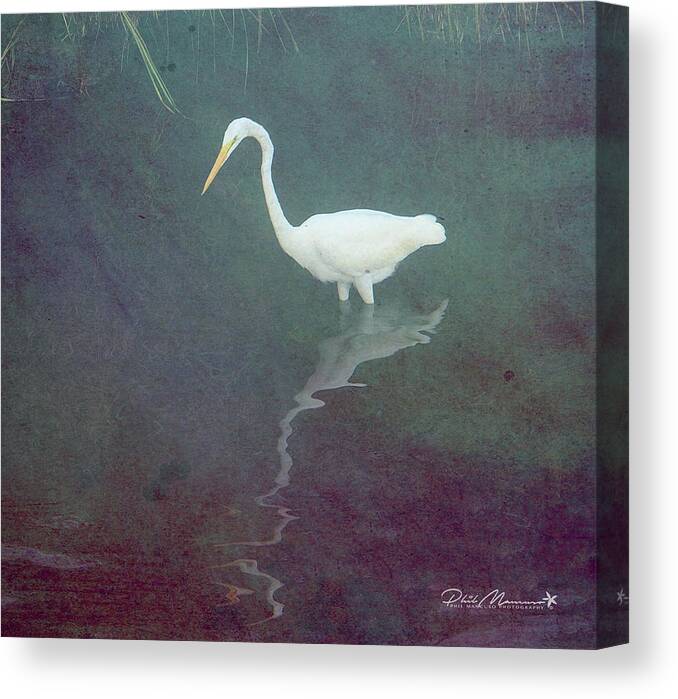 Canvas Print featuring the photograph Egret Dreams by Phil Mancuso